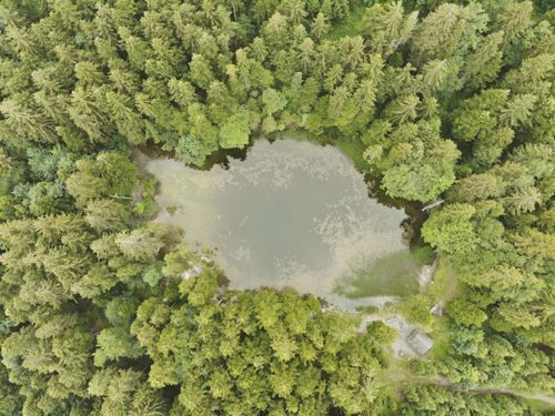 Luftaufnahme Appenzell Wald und kleiner See